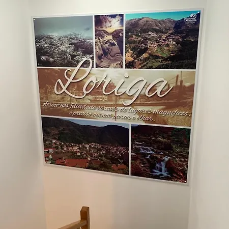 Casa Da Carvalha - Chalet